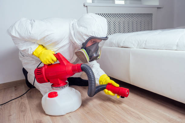 Best Pest Removal Services  in Winchester, CA